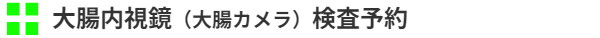大腸内視鏡（大腸カメラ）検査